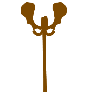 howchin's emblem