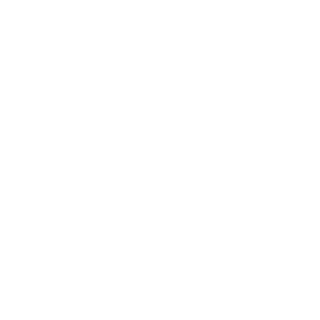 H2toons's emblem