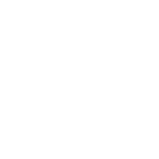 SLAPAFAKA's emblem