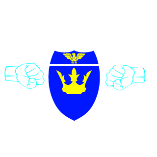 Ironico_Jr's emblem