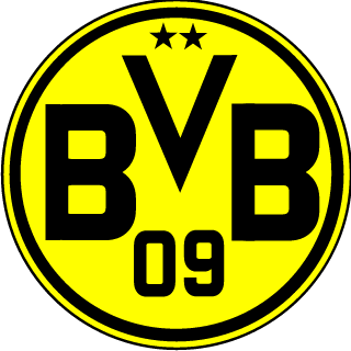 Biojunky's emblem
