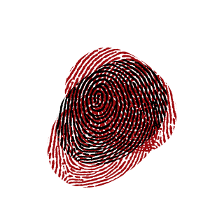 BlackNuts01's emblem