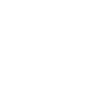 Nemanja98SRB's emblem