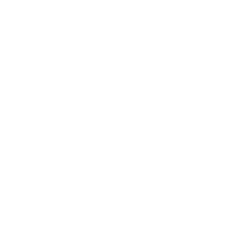 diskonnekt's emblem