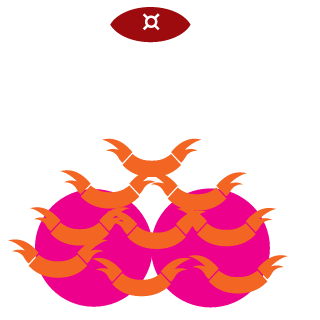 SSS_SHOCKWAVES's emblem