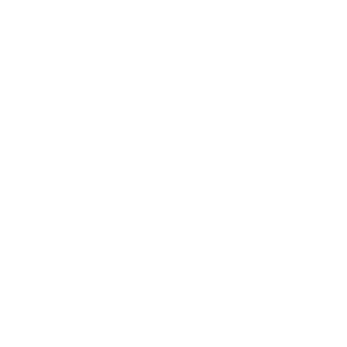 ZECTICE's emblem