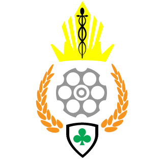 FluxReversaI's emblem