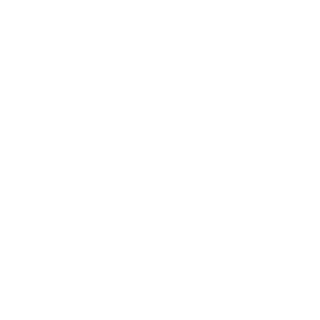 22LR-1976-'s emblem