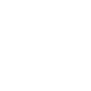 AFO_Neptune_SEAL's emblem