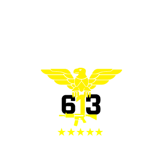 B613BR's emblem