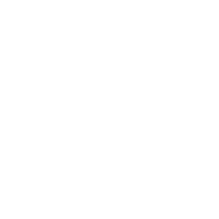 PacocaPinhao's emblem