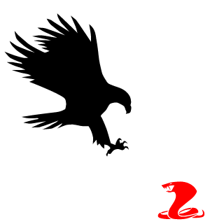 RamS_pl's emblem
