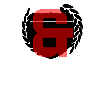 fighter517's emblem