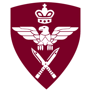 The Devils Pebble's emblem