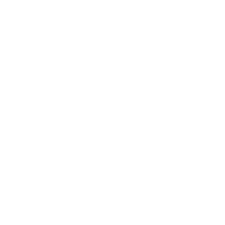 04CobraTermin8er's emblem