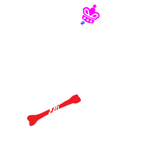 WCM-Rip's emblem