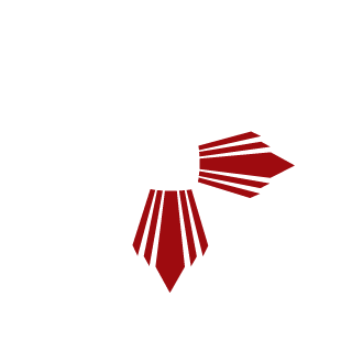 10BKPancPL's emblem