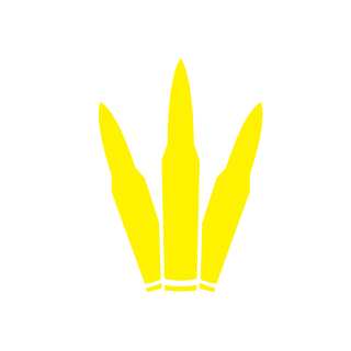 chuarzeneggeR's emblem