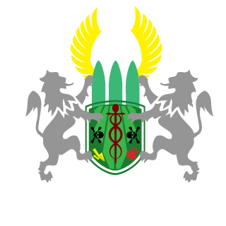 FHGStorm's emblem