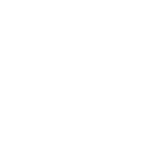 andorinhas01's emblem