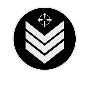 Player27iq's emblem