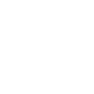 RushTheDamnFlags's emblem