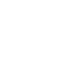 GesiChegou's emblem