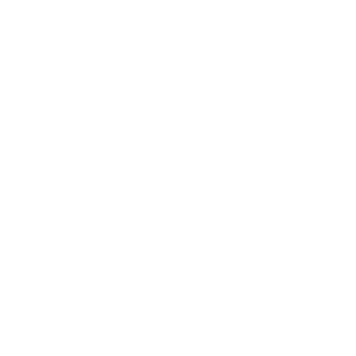 Taipax's emblem
