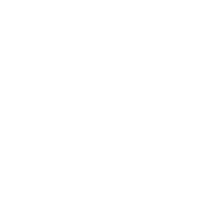 nixikus's emblem