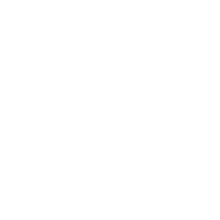alexsan2020's emblem
