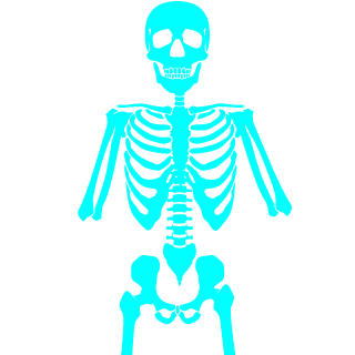 WOODS5224's emblem