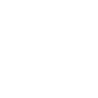 TrueDefiiance's emblem