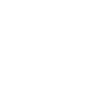 28DC100's emblem