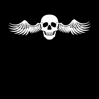 dark8oy's emblem