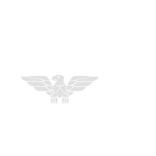 Skozaa_NL's emblem