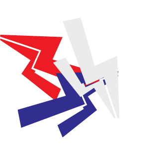 SKATERS_iiA9's emblem