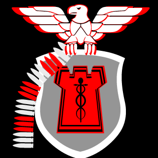 0Bladeeye0's emblem