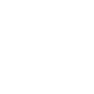 53f54's emblem