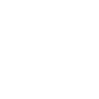 SoldatZGOLV's emblem