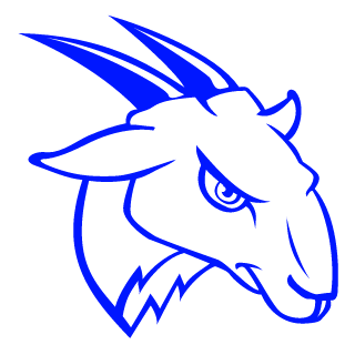 ThatNerdyGuy591's emblem