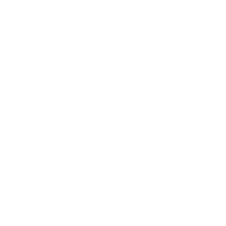 1re213's emblem