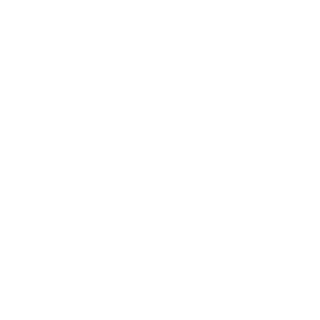 Danthepoli's emblem