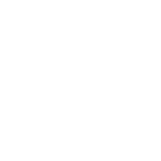 NikoBellic1245's emblem