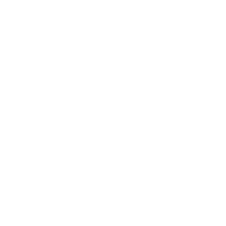 SGT_ALVES-BZ's emblem