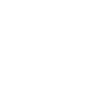 PON324's emblem
