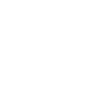 pipidastr228ss's emblem
