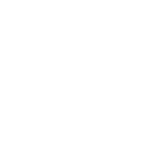 PandemicBLM's emblem