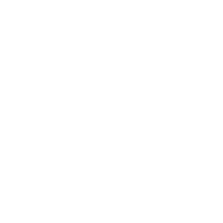 CallSignFalcon1's emblem