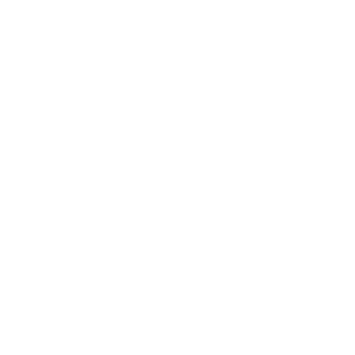 BK2-ButiFlay's emblem