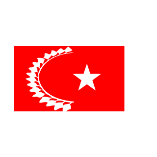 BoraRX's emblem